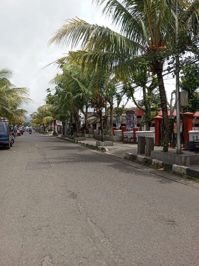 The image captures a perspective view down a paved road, flanked on both sides by sidewalks and buildings, all shaded by numerous palm trees under an overcast sky.
The road, made of asphalt, extends into the distance and shows signs of wear with some patches and cracks. Shadows, likely cast by the overhead trees, are visible on its surface. On the left side of the road, several vehicles are parked parallel to the curb, including a prominent blue van in the foreground. Further down the road, more vehicles, including motorcycles and what appear to be cars, are visible, suggesting traffic or parked vehicles. One person on a motorcycle can be seen driving in the distance.
To the right of the road, a raised sidewalk or median strip is present, featuring concrete planters or barriers and occasional benches. This area is heavily lined with tall palm trees, characterized by their green, feathery fronds, many of which bear clusters of coconuts near their crowns. Behind these palm trees, other leafy green trees and foliage are visible, creating a dense green canopy. Beyond the trees and sidewalk, a row of single or two-story buildings can be seen, partially obscured by the vegetation and red-and-white fences or gateposts. These buildings appear to be of simple, functional architecture. A utility pole with overhead wires is also visible on the right side. A banner or poster with some graphics is discernible on one of the buildings or structures on the right, but no specific text is legible.
The sky is uniformly overcast, indicating a cloudy day, but there is sufficient light to illuminate the scene clearly, suggesting it is daytime, possibly late morning or early afternoon. The overall atmosphere evokes a tropical or semi-tropical environment due to the prevalence of palm trees and the general appearance of the street and buildings. No specific individuals are clearly identifiable, nor are distinct activities taking place in the immediate foreground, although the presence of vehicles suggests a functional street environment.