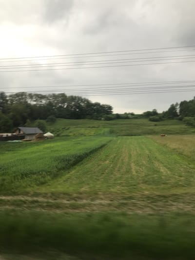 This image captures a rural landscape, likely from a moving vehicle, exhibiting motion blur across the foreground. The scene is located in or near Cristești, Romania.
The upper third of the image is dominated by an overcast, grey sky, indicating cloudy conditions with no direct sunlight. Five distinct, dark-colored power lines stretch horizontally across the middle upper portion of the frame.
Below the power lines, a distant line of dark green trees forms the horizon, obscuring any further background. Below the trees, undulating green hills or elevated terrain are visible.
In the mid-ground, on the left side, a small house with a dark grey roof and lighter colored walls is present, partially obscured by fencing or other structures. Adjacent to the house is a large, brown pile, consistent with hay or straw, and a white, rounded object, which appears to be a wrapped silage bale.
To the right in the mid-ground, a brown animal, consistent with a cow, is visible grazing or standing in a field. This field displays varying shades of green and yellowish vegetation.
The foreground consists of cultivated fields. On the left, a dense, uniform green crop, possibly a grain, shows faint parallel rows. On the right, another field displays prominent, light-colored parallel lines, indicative of tilling or mowing patterns. The bottom edge of the image shows significant horizontal motion blur, particularly affecting the ground cover, suggesting the photograph was taken from a vehicle in motion.
No human figures are discernible within the frame. The overall environment is agricultural and rural under an overcast sky.