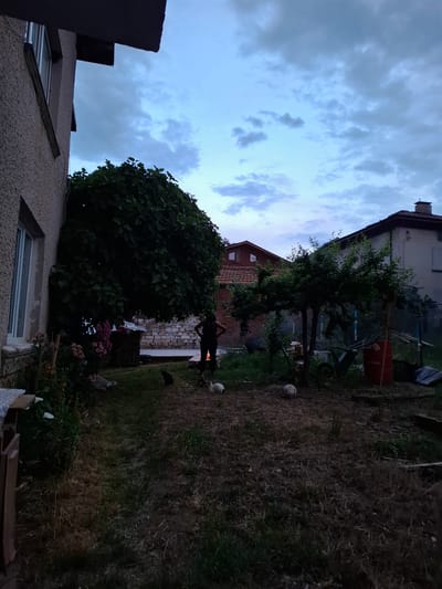 This image depicts an evening scene in a backyard or garden in Mosomishte, Bulgaria. The sky is overcast with soft, diffused blue-grey clouds, suggesting dusk or early night.
In the foreground on the left, part of a residential building with a light-colored, textured facade and a dark roofline is visible, featuring a window. A large, dense tree with dark green foliage stands prominently in the mid-ground on the left. To its right, a person is standing near a bright, warm fire or bonfire, their silhouette sharply contrasted against the flames. Adjacent to the fire, there's a stone structure, possibly an outdoor grill or oven. A small black cat is also visible near the fire, and two white spherical objects, likely soccer balls, are on the ground in the grassy area. A bed of pink and orange flowers adds a touch of color in the lower-middle foreground.
Towards the background, another residential building with a tiled roof and what appears to be brick construction is present. The yard itself is a mix of green grass and drier, brown patches. Several smaller trees and bushes are scattered around the property. A red barrel, which appears to have the word "TOTAL" visible on its side, and a wheelbarrow are situated near the background house. The overall atmosphere is quiet, with the fire being the central point of activity in the dim evening light.