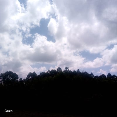 The scene, located in Bonyamaro ward, Kenya, depicts a landscape dominated by a sky filled with various cumulus cloud formations against patches of light blue sky. Below the sky, a dense line of tree canopies forms a dark, silhouetted horizontal band across the middle of the frame, obscuring details of the terrain behind them. The foreground, beneath the tree line, is uniformly dark and appears to be shadowed ground, lacking specific discernible features. No individuals, animals, or man-made structures are visible within the frame, apart from the white text "Gaza" positioned in the lower left corner of the image. There are no discernible actions or interactions occurring.
