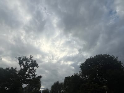 The image shows a sky filled with dark, heavy clouds, with breaks allowing shafts of light to penetrate through. Silhouetted against the sky are the tops of several trees, their dark foliage contrasting with the lighter clouds. In the lower right corner, a street lamp is visible, its form a dark shape against the sky. The scene suggests an overcast or impending stormy day. This is a view of the sky and tree canopy in Bemmel, Netherlands.