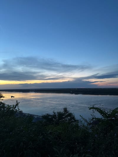 The image depicts a wide river reflecting the twilight sky, viewed from a hillside covered in dense vegetation. The sky is a gradient of deep blue at the top, transitioning to lighter blues and grays with streaks of orange and pink near the horizon, indicating the late evening or early dawn. Wispy clouds are scattered across the sky, with faint contrails visible.

On the opposite bank of the river, a dark, silhouetted treeline stretches across the landscape, with scattered lights suggesting a settlement. A large industrial structure, possibly a port or factory with a prominent crane, is visible on the left side of the riverbank in the mid-ground. A small boat or barge is situated on the water in the left-center of the frame.

The foreground is dominated by dark, out-of-focus foliage, including bushes, branches, and a few small purple flowers. The overall impression is one of a tranquil natural setting juxtaposed with industrial activity, captured during the transitional light of day. The specific location in the city of Svishtov, Bulgaria, is not directly identifiable from the visual elements alone, but the scene suggests a waterfront industrial area adjacent to a natural landscape. There are no people visible in the image.