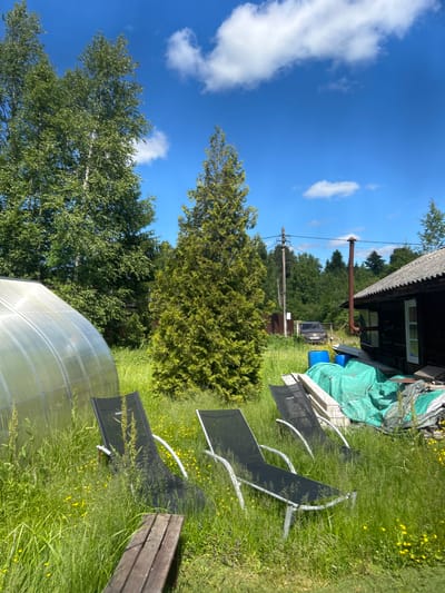 In the city of Novozhilovo, Russia, an outdoor scene unfolds under a bright blue sky with scattered white clouds. The foreground is dominated by tall, green grass dotted with small yellow flowers, with three black mesh lounge chairs with white frames arranged within it. A portion of a weathered wooden bench is visible in the lower left corner. To the left, a large, clear plastic greenhouse is partially visible, its curved surface reflecting the sunlight. Behind the greenhouse and lounge chairs, a tall, slender, conical green evergreen tree stands prominently. Further back, to the right, a rustic wooden building with a dark brown exterior and a grey, corrugated roof is situated. A rusty metal chimney pipe extends vertically from the building. Adjacent to the building, a collection of items are stored, including large blue barrels, stacks of wood, and materials covered by a large, bright green tarp. In the middle ground, beyond the items covered by the tarp, a dark-colored car is parked behind a chain-link fence. The background is a dense forest of various green trees, with utility poles and wires visible against the sky, suggesting a semi-rural or suburban setting. The overall impression is one of a somewhat unkempt, but lived-in, rural property on a sunny day.