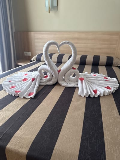The image shows a hotel bed in Lloret de Mar, Spain, decorated with two swans made of white towels, their necks forming a heart shape. Red rose petals are scattered around the towel swans, which are placed on a bed with brown and dark gray striped bedding. A wooden headboard is visible behind the bed, and a wall with a light fixture is above it. A window with a grey curtain is on the left side of the image. There are no people or animals present in the scene.