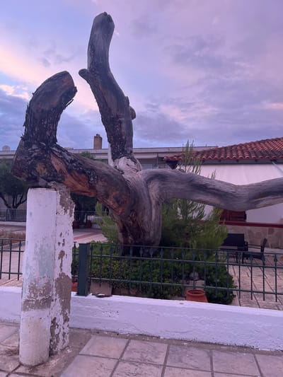 The image depicts a large, gnarled, dead tree trunk supported by a crumbling white pillar in the foreground. The trunk has a twisted, sculptural quality, with branches extending horizontally. Behind the tree, a green metal fence encloses a small garden area with a terracotta pot. Beyond the fence, a building with a red tile roof is visible, suggesting an outdoor setting in a village or town. The sky is filled with soft, diffused clouds, colored with hues of pink and purple, indicating either dawn or dusk. The overall scene suggests a quiet, perhaps historical or artistic, outdoor space. The location is specified as Gerakini, Greece. There are no people visible in the image.
