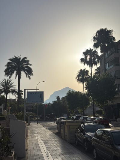 The photograph captures a street scene in l'Alfàs del Pi, Spain, during what appears to be the early morning or late afternoon, given the low angle of the sun. The sky is overcast with a hazy glow, and the sun is partially obscured by palm trees, creating lens flare. A prominent mountain range is visible in the background, silhouetted against the bright sky.

In the foreground, a sidewalk made of patterned tiles runs along the street. To the left, a grey, concrete planter contains some vegetation. Across the sidewalk, parked cars line the street. Among them are a dark-colored SUV with a roof rack and a silver sedan. Further down the street, more cars are parked, including a red hatchback. Several large, light-colored trash receptacles are situated near the sidewalk.

A tall palm tree stands near a sign that reads "UNIQUE ROPA BOUTIQUE" and displays a silhouette of a woman. Another, smaller sign beneath it indicates "ADVANCED CHIROPRACTIC." A streetlamp is mounted on a pole near the sign.

To the right of the street, a multi-story building with balconies and visible windows is present. Green trees and smaller palm trees are scattered throughout the scene, contributing to a Mediterranean atmosphere. The overall impression is a quiet, somewhat ordinary street in a town with a noticeable presence of palm trees and a mountainous backdrop. There are no visible people actively engaged in significant actions, though a distant figure is barely discernible on the right side of the frame. The scene is static and bathed in diffused sunlight.