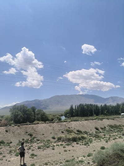 The image captures a panoramic view of a vast landscape under a bright blue sky dotted with scattered white clouds. In the foreground, a person stands on a gravelly terrain with sparse vegetation, looking towards the distance. The person is wearing a patterned shirt and dark shorts, with a camera bag slung across their shoulder. Behind the person, a weathered embankment leads to a railway track. Beyond the tracks, a line of tall, slender trees forms a dense border, separating the foreground from a body of water that appears to be a river or a lake. In the background, rolling mountains rise, their slopes covered in a muted, earthy tone, suggesting a dry climate. The sky is a prominent feature, vast and clear, with the sun casting a bright light, creating a sense of openness and grandeur. The overall scene depicts a rural or natural environment, likely in a mountainous region. The specific location of Kok-Moinok - 1, Kyrgyzstan, implies a setting within this Central Asian country, known for its dramatic mountain ranges and expansive landscapes.