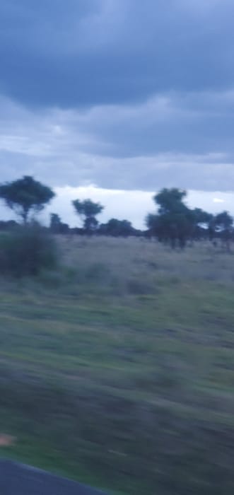 The image depicts an outdoor landscape, likely within Mua ward, Kenya, captured with significant motion blur, suggesting it was taken from a moving vehicle. The scene is dominated by a dark, overcast sky with heavy blue-grey clouds. The horizon reveals a lighter band of sky under the clouds. Below the sky, a vast expanse of grassland is visible, featuring a mix of green and dry, brownish vegetation. Scattered across this field are numerous trees and bushes, appearing dark and silhouetted against the lighter sky behind them. No people, animals, or man-made structures are distinctly visible beyond what appears to be the edge of a road or vehicle frame in the bottom left corner. The overall lighting suggests either dawn, dusk, or heavily overcast conditions.
