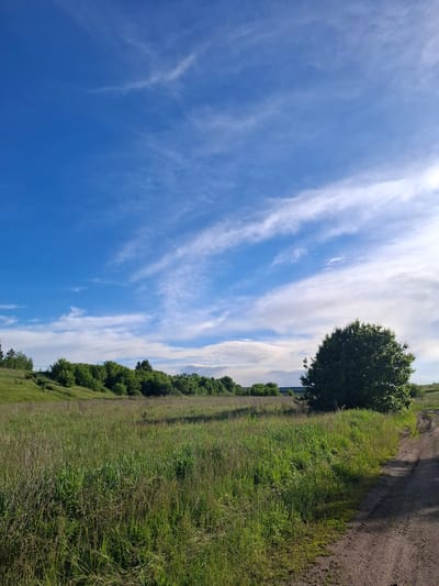 The image shows a landscape in Khlevnoye, Russia. The scene is divided between the sky and the ground. The sky is blue with streaky white clouds, occupying a significant portion of the image. The ground is covered in green grass and a line of trees running along the horizon. There is a dirt path on the right side of the image.