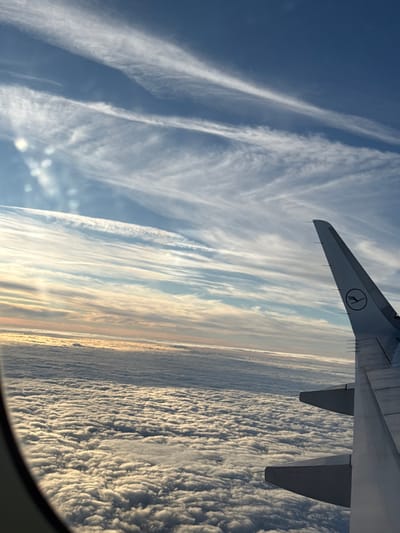 The image displays an aerial view from an airplane window, looking out over a vast expanse of clouds. In the foreground, a curved, dark airplane window frame is visible along the left edge. A light-colored airplane wing with an upward-curving winglet occupies the mid-to-lower right portion of the frame; a black Lufthansa crane logo is clearly visible on the inner surface of the winglet. Below the aircraft, a dense, textured layer of white cumulus clouds stretches to the horizon, illuminated from above, creating variations in light and shadow. Above the cloud layer, the sky transitions from a soft gradient of light orange and pink near the distant horizon to a clear, bright blue overhead. Several distinct, elongated white cirrus clouds streak across the upper blue sky. No ground features or specific geographical landmarks, including the city of Hochheim, Germany, are visible beneath the extensive cloud cover.