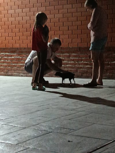 In Novotitarovskaya, Russia, on a paved surface in front of a brick wall, a person wearing a red shirt and light pants is crouched down, facing a small, dark-colored dog. The dog is facing away from the viewer and appears to be sniffing the ground. To the right, a second person, wearing blue shorts and a light-colored top, stands with their arms crossed. Their legs are visible, and they are wearing sandals. A third person, partially visible on the left, is also crouched down. The lighting suggests it is evening or nighttime, with shadows cast on the ground by the individuals and the dog.