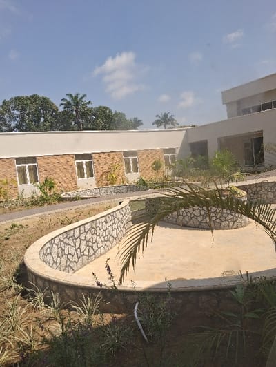 This image depicts an outdoor landscaped area with architectural structures in Takum, Nigeria, under a clear sky with scattered white clouds. The foreground features unpaved ground with sparse green vegetation, including low-lying plants and a prominent palm frond extending from the right. A curved, light-colored concrete retaining wall, approximately one meter high, features a multi-toned grey and white stone veneer on its inward-facing surface. Inside this curved enclosure is a flat, light brown ground area. A white pipe is visible on the ground at the base of the curved wall.
In the midground, a winding, unpaved pathway runs behind the curved wall, bordered by another similar stone-faced retaining wall. Two single-story buildings are visible: the structure on the left has a light brown brick facade with lighter horizontal trim and multiple rectangular windows with white frames. To its right, a lighter grey or off-white rendered building exhibits dark-framed windows and appears to be part of a larger complex. In the background, numerous green trees, including several palm trees, rise above the buildings. No individuals are present in the scene. The clear lighting suggests a sunny daytime environment, with shadows cast by the palm frond and structures.