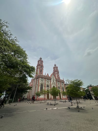 A wide-angle, low-angle shot shows a pale sky with the sun faintly visible and some clouds. In the foreground, a paved plaza is covered with numerous pigeons. Trees with green foliage line the left side of the plaza, and more trees and buildings are visible to the right. A prominent church with white and pink facades, elaborate architectural details, and two tall towers stands in the background, centrally located in the frame. Several people are walking and standing in the plaza, some near the trees and others closer to the church. The scene depicts a public space outside a church in Perímetro Urbano Barranquilla, Colombia, characterized by pedestrian activity and a significant bird population.
