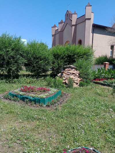 The image depicts a sunny outdoor scene with a building that appears to be a church or similar place of worship in the background. The building is light brown with a distinct architectural style featuring pointed roofs and crosses. In front of the building, there are several large, lush green bushes and trees. In the foreground, there is a raised, hexagonal flower bed enclosed by green plastic edging. This flower bed contains a variety of small flowers, predominantly red and white, with some pink ones mixed in. The ground surrounding the flower bed is covered in green grass with scattered small white and pink wildflowers. To the right of the flower bed, there is a decorative pile of stones. Further to the right, there are tall green plants with large leaves, planted in a row behind a red border. A fence made of corrugated metal and brick posts is visible in the mid-ground. The sky above is clear and blue. The scene appears to be a garden area adjacent to a religious building, likely in a temperate climate given the vegetation.