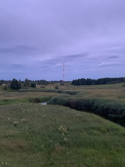 The image depicts a cell tower in a rural Belarusian landscape. The tower, red and white, stands tall against a pale blue, cloudy sky. It is situated in a field bordered by trees and greenery. The scene appears to be an open, natural setting with rolling hills and vegetation. The time of day seems to be late afternoon or early evening, given the soft light and the color of the sky. There are no people visible in the image, and no text is present. The overall mood is serene and undisturbed, capturing the essence of a quiet rural area.