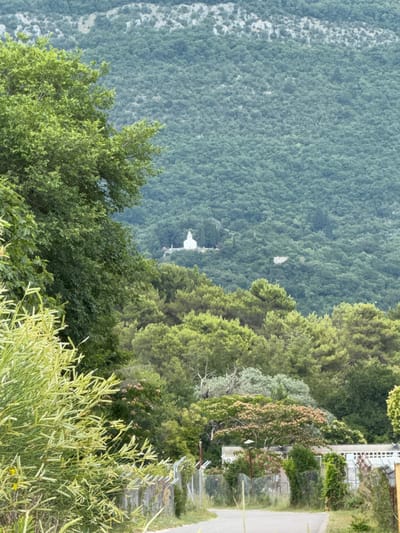 The image displays a landscape scene featuring a lush, densely forested mountainside in Mrčevac, Montenegro. In the mid-ground, a small white church with a steeple stands prominently on the hillside, surrounded by trees. The foreground shows a road or pathway curving to the right, bordered by a chain-link fence and various types of vegetation, including a prominent light-green, feathery plant on the left and a darker, leafy tree to its right. The background is dominated by the expansive, green mountain, with lighter patches of rock or sparse vegetation visible along the higher ridges. There are no people visible in the image. The overall impression is one of a natural, somewhat secluded, and rural environment.