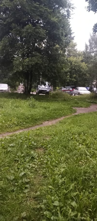The image depicts a street in the city of Lysva, Russia, with several cars parked on the side of a tree-lined road. The foreground is dominated by lush green grass and a winding dirt path. In the middle ground, a dark-colored SUV is parked under a large tree, with a silver sedan parked behind it. Further down the street, a light-colored sedan is visible, along with other vehicles obscured by foliage. The background is filled with dense trees and the sky is overcast. The overall impression is of a quiet, residential street on a cloudy day.
