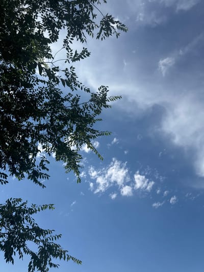 A low-angle, medium shot captures a bright blue sky partially obscured by the dark green foliage of tree branches. The branches, originating from the left and upper left of the frame, extend into the scene, with numerous small, serrated leaves silhouetted against the sky. Scattered across the sky are wisps of white clouds, some appearing feathery and others more dense, suggesting a partly cloudy day. The lighting indicates it is daytime, with sunlight filtering through the leaves. The image is devoid of any people, structures, or specific urban features, giving it a natural, outdoor feel. The location is identified as the village of Umbetaly Karibayeva, Kazakhstan.