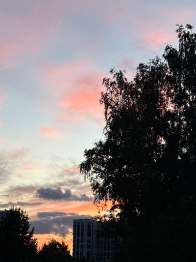 This is a photograph taken outdoors, likely in Vnukovo, Russia. The image depicts a sky with wispy, colorful clouds, suggesting either sunrise or sunset. The colors range from soft pinks and oranges to grays and whites. Silhouetted against the sky are the dark branches of trees in the foreground and the side of a tall building in the background. The building appears to be a residential or office complex, characterized by its numerous windows. The overall impression is one of a serene, urban landscape transitioning between day and night. There is no visible text in the image.