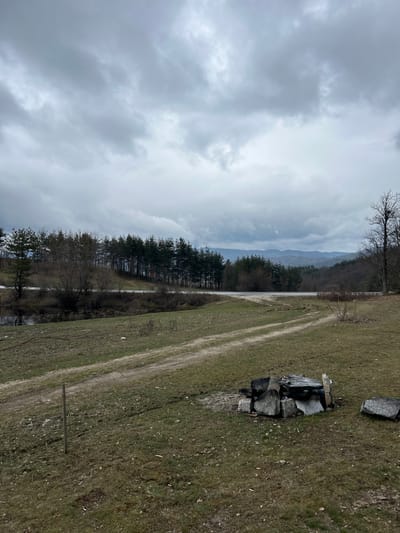 The image shows a rural landscape in Grashevo, Bulgaria, under a cloudy sky. In the foreground, a dirt track runs through a grassy field. To the right of the track, a pile of rocks is visible. A line of trees separates the field from a body of water, possibly a river or lake. In the background, mountains are faintly visible. The scene appears to be outdoors.