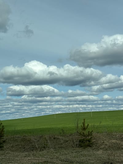 The image shows a landscape with a cloudy sky, a green field, and a patch of dry vegetation. The sky is predominantly blue, with several rows of elongated, white clouds. Adjacent to the clouds and sky is a green field. To the right of the green field, there's a strip of dry vegetation, which includes small shrubs. The image is oriented sideways. There is no indication that this photo was taken in Semenovo, Russia.