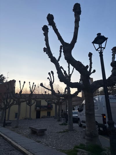 The image displays a street scene in Ávila, Spain, at dusk. The foreground features a grey cobblestone square or street on the right and a stone sidewalk on the left, where a rectangular stone bench is centrally positioned. A row of heavily pollarded deciduous trees, bare of leaves and possessing thick, gnarled trunks with stubby branches, dominates the scene, silhouetted against the sky. On the far right, a black, traditional-style streetlamp with a square lantern top stands upright. In the midground, a pale yellow, two-story building with a red-tiled roof and a small black-railed balcony is visible on the left. Behind the trees on the right, a white van with "OXIGEN" and the Spanish text "Instalaciones Sanitarias 911 11 10" on its side is parked or moving, along with other partially visible vehicles. The background reveals additional bare trees against a clear sky that transitions from light blue overhead to a pale orange-pink hue near the horizon. No individuals are clearly discernible within the scene, which appears static.