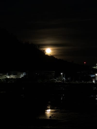 The image depicts a nighttime scene on Lý Sơn Island, Vietnam. The camera is oriented vertically, with the foreground largely obscured by darkness. To the left, a bright, luminous sphere, likely the moon or a strong light source, is visible against a hazy, diffused background that suggests mist or smoke. Streaks of light emanate from this source, creating a dreamlike effect.
The right side of the image reveals a more structured environment. A line of streetlights illuminates a path or road, with sparse vegetation visible along its sides. In the distance, some buildings with lit windows can be observed, hinting at human habitation or activity. The overall atmosphere is one of quietude and mystery, characteristic of a moonlit night, potentially with unusual atmospheric conditions. The darkness and the quality of the light contribute to a slightly eerie or surreal mood. No text is visible in the image.
