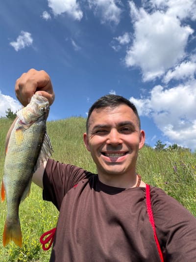 A man, likely of Slavic ethnicity, holds up a freshly caught perch for a selfie. He is smiling broadly, with his right arm extended to capture himself and his catch in the frame. The perch, a typical Eurasian perch, is pale green with dark vertical stripes and vibrant orange fins. The man is wearing a plain brown t-shirt and a beaded necklace. Behind him, a grassy hill slopes upward, dotted with wildflowers and a few scattered trees. The sky is a brilliant blue, filled with fluffy white clouds. The scene suggests a sunny day spent outdoors, likely near a body of water suitable for fishing, possibly in or around Karavai-Nor'ya, Russia, given the landscape and vegetation.