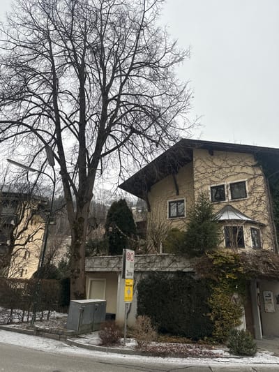 A three-story house with a gabled roof is partially covered in ivy. Multiple windows are visible, some with awnings. A bare tree dominates the foreground. A street sign and a metal utility box stand near the house. Another house is visible in the background. The scene appears to be captured in winter, as the sky is overcast and there is a light dusting of snow.
