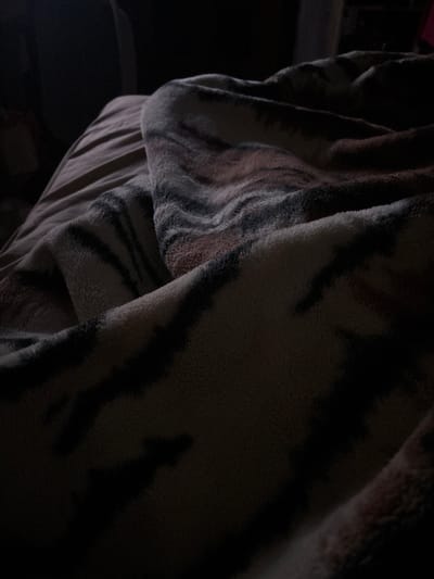 The image shows a close-up of a folded blanket with a tiger stripe pattern. The blanket is draped over a surface, possibly a bed or other furniture. The lighting is dim, casting shadows and obscuring details. The background is dark and indistinct, making it difficult to identify the precise environment. There is no evidence to suggest the location is Dobrovnitsa, Bulgaria.