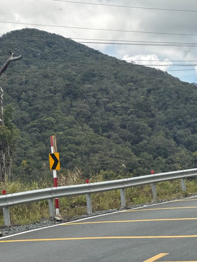 The image shows a steep, densely forested mountainside in the city of Lac Duong, Vietnam. A paved road with yellow lane markings runs diagonally across the foreground. A metal guardrail separates the road from the vegetated shoulder, where a road sign with a black chevron on a yellow background is visible. Power lines stretch across the upper portion of the frame, obscuring a cloudy sky. The overall scene depicts a rural, mountainous landscape with infrastructure for transportation.
