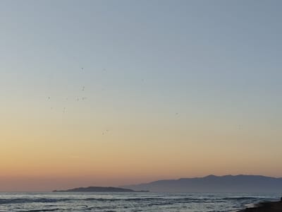 The image depicts a tranquil beach scene at Agios Stefanos, Greece, during what appears to be either sunrise or sunset. The sky transitions from a pale blue at the top to warm hues of orange and yellow closer to the horizon. A flock of birds is scattered across the sky, some flying individually and others in small groups. In the distance, a silhouette of a small island is visible on the left, and a range of mountains forms the horizon on the right. The sea is calm with gentle waves rolling towards the shore. A dark shoreline with some black sand is visible in the bottom right corner of the frame. The overall impression is one of serene natural beauty and a peaceful coastal environment.