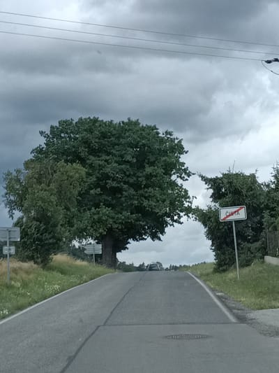 The image depicts a rural road in the city of Čistá, Czechia, under a cloudy sky. A single asphalt road curves upwards and away from the viewer, bordered by grassy verges. On the right side of the road, a white sign with a red border and a red diagonal line across it indicates "ČISTÁ," signifying the city limits. The sign is mounted on a metal post. Dense green trees, including a large, full-leaved deciduous tree on the left and a cluster of coniferous trees on the right, flank the road. Two smaller, grey road signs are visible on the left side of the road, closer to the foreground. In the distance, at the crest of the hill, several vehicles are visible parked or driving on the road. The overall environment suggests a quiet, natural setting.