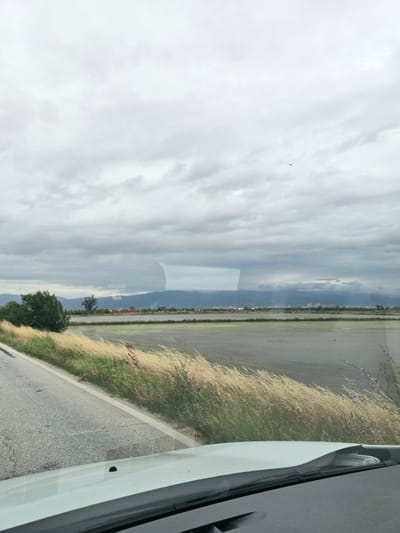 The image depicts a landscape scene viewed from inside a vehicle, likely through the windshield. In the foreground, the edge of a light-colored car hood is visible, along with a portion of the car's windshield and dashboard. A road with a white line marking runs along the left side of the frame, bordered by tall, dry, golden grass and green vegetation. Beyond the roadside, a vast, flat expanse of water or flooded fields stretches towards a distant treeline and a range of hazy mountains under a cloudy, overcast sky. Reflections of trees and distant buildings are visible on the surface of the water. A small dark object, possibly a bird or drone, is visible in the upper portion of the sky. The overall scene suggests a rural or agricultural setting, possibly on a day with diffused light. The location is identified as Skutare, Bulgaria, implying a view of the surrounding countryside of this area.