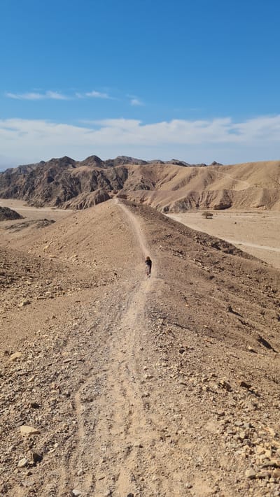The image shows a landscape in Eilat, Israel, featuring a narrow dirt path winding along a ridge between rocky, arid hills. A figure is walking on the path. The terrain is brown and stony. In the background, a blue sky with scattered clouds is visible.