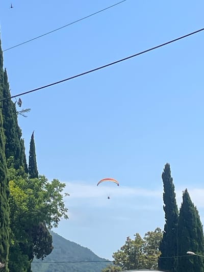 The image captures a paraglider in mid-flight against a clear blue sky. The paraglider, with an orange and yellow canopy, is positioned in the upper center of the frame. Below it, a person can be seen suspended in a harness. The foreground is dominated by tall, dark green cypress trees on the left and right sides, with lush green foliage and a hint of a mountain range in the background. Power lines traverse the upper portion of the image. The overall impression is of an outdoor recreational activity taking place in a scenic, natural environment, possibly Abaata, Abkhazia, given the cypress trees and mountainous backdrop.