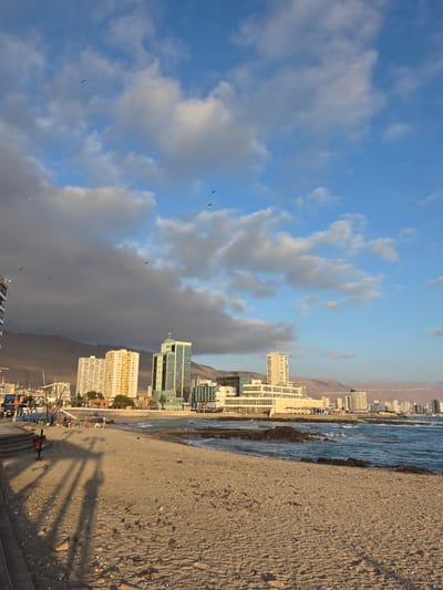 This is a photograph of a beach in Iquique, Chile, during what appears to be late afternoon or early evening. The sky is a mix of blue and grey clouds, with several birds flying in the distance. In the foreground, the sandy beach is scattered with small pebbles and shells. The ocean, with gentle waves, meets the shore, with some rocky outcroppings visible.

Beyond the beach, a promenade or walkway runs along the coastline. To the left, stairs lead down to the beach. A shadow of what appears to be a lamppost or some other tall structure is cast across the sand. A few people are visible near a small blue tent on the promenade.

Further inland, the cityscape of Iquique is visible, featuring several multi-story buildings, including some modern high-rises. The buildings are predominantly white and light-colored, with one taller building showcasing a green facade. In the background, rolling hills or mountains form a natural backdrop to the city. The lighting suggests the sun is low on the horizon, casting long shadows and illuminating the buildings with a warm glow.