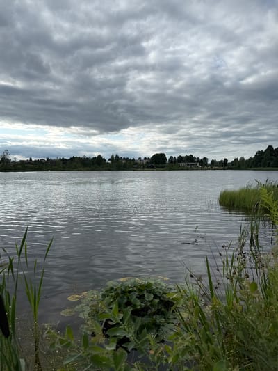 The image depicts a serene lake scene in Kirzinė, Lithuania, under a cloudy sky. The foreground is dominated by lush green vegetation, including tall reeds and lily pads floating on the dark water's surface. The lake itself is calm, with gentle ripples reflecting the overcast sky. In the mid-ground, a dense line of trees borders the far bank, interspersed with scattered houses, suggesting a rural or semi-rural residential area. The overall atmosphere is tranquil and natural.