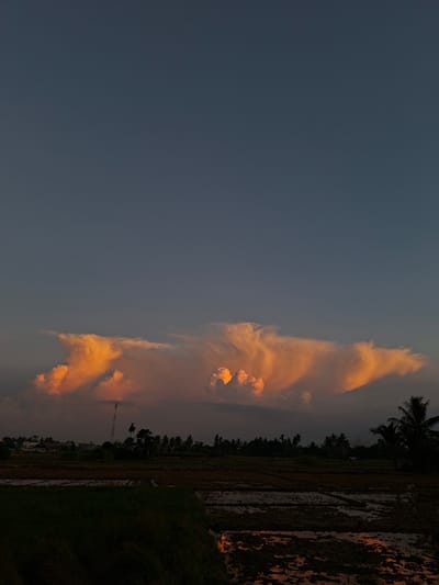 This photograph depicts a rural landscape at dusk in Kutaglumpang, Indonesia. The sky is a deep, dusky blue, with a striking formation of clouds illuminated by the setting sun in shades of orange and yellow. The clouds are dense and voluminous, with distinct textures and patterns, suggesting a dramatic sky.
Below the sky, the horizon is lined with a dense cluster of trees, including palm trees, which are silhouetted against the lighter sky. A tall, slender tower, possibly a communication tower, stands out among the trees on the left side of the frame. The foreground consists of cultivated fields, with areas of dark soil and patches of water reflecting the ambient light. Some areas appear to be covered in dark green grass or vegetation. The overall impression is one of a serene, natural environment at the transition between day and night. There are no visible people or animals in the image.