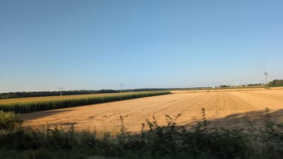 The image depicts a rural landscape under a clear blue sky. In the foreground, a harvested field of golden wheat stretches across the scene, with rows clearly visible from the harvesting process. Adjacent to the wheat field, on the left side of the image, is a lush green field of tall corn. The horizon is marked by a line of trees, and in the distance, several white wind turbines are visible, along with some residential buildings and power lines. There are also two large electricity pylons visible, one closer and one further away. The lighting suggests it is either early morning or late afternoon, with long shadows cast across the wheat field. The scene is devoid of any people or animals.
