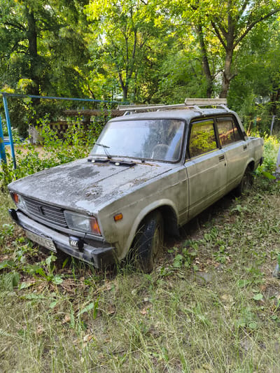 An old, light-colored sedan, likely a Lada model from the late 20th century, is parked in an overgrown outdoor area. The car exhibits significant wear, with peeling paint on the hood and roof, and appears to be covered in dust and debris. It has a roof rack. The vehicle is surrounded by tall grass, weeds, and fallen leaves, suggesting it has been stationary for an extended period. Lush green trees form a dense backdrop behind the car. In the background, a chain-link fence with a blue metal frame is partially visible, along with some other unidentifiable structures and vegetation. The scene appears to be in a semi-urban or rural setting, potentially a yard or an abandoned lot within the city of Kropyvnytskyi, Ukraine, given the context provided. No people are present in the image.