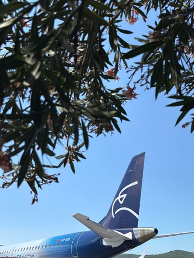 The image shows the tail and rear fuselage of a blue and white airplane against a clear blue sky. The plane's tail features a white stylized bird logo. Below the tail, text and a registration number "40-AOA" are visible on the fuselage. In the foreground, dark green leaves and some small pink flowers from a tree branch partially obscure the view of the sky and the airplane. The scene appears to be outdoors, likely at an airport. The location is Mrčevac, Montenegro.