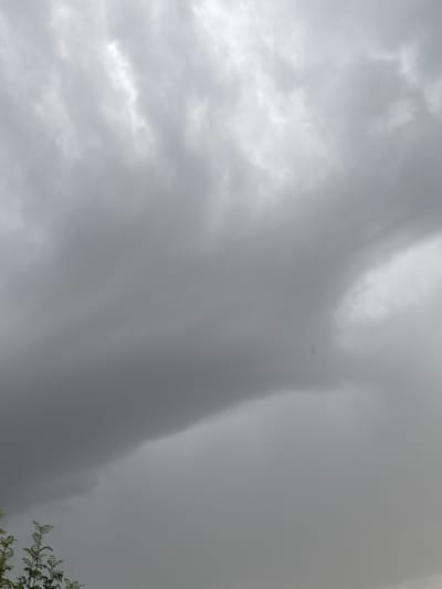 The image shows a sky filled with dark, heavy clouds, suggesting an impending storm. The clouds are a mix of dark grays and lighter whites, with some areas appearing almost black. The overall atmosphere is somber and overcast. In the lower left corner, the tops of some green leafy branches from a tree are visible, hinting at an outdoor setting. The image does not depict any people or specific structures within the city of Pavlovka, Russia, but rather focuses on the atmospheric conditions of the sky above it. The light is diffused and appears to be coming from behind the clouds. There are no visible actions or interactions occurring in the scene.