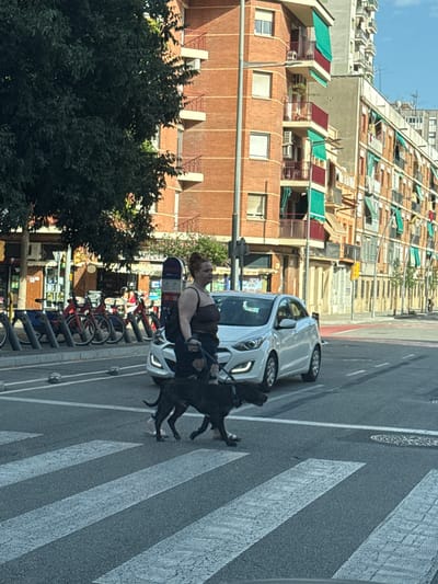 A woman with red hair tied up is walking a black dog across a pedestrian crossing on a sunny day in L'Hospitalet de Llobregat, Spain. The woman is wearing a dark-colored strapless top and dark pants, carrying a backpack. She is holding a leash attached to the dog, which is walking beside her. A white car is stopped behind them, waiting for them to cross. In the background, there are multi-story brick buildings with balconies and awnings, a street lamp, and a row of parked red bicycles. The street is paved and marked with white lines for the pedestrian crossing and traffic lanes. The sky is clear and blue.