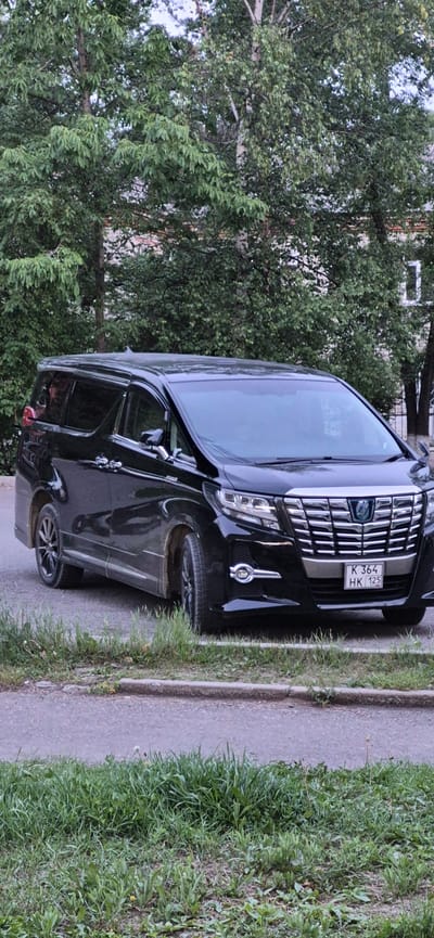 A black Toyota Alphard minivan is parked on a street in Ussurijsk, Russia. The minivan is facing forward, and its license plate reads "K 364 HK 125". The vehicle is positioned on the right side of the street, close to the curb, with a strip of grass and a concrete border separating it from the road. Trees with green foliage are visible in the background, along with a building that appears to be an apartment complex. The sky is overcast. There are no people visible in the image. The scene appears to be an ordinary street view in a residential area.