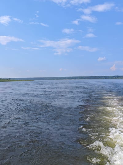 The image depicts a wide river under a blue sky with scattered white clouds. The water surface is choppy, with visible waves and a white wake trailing from the right side of the frame, suggesting movement, possibly from a boat. The riverbanks are lined with dense green trees and vegetation. In the distance, the tree line creates a dark, horizontal band across the horizon. The sky occupies the upper half of the image, with the horizon line roughly bisecting the scene. The lighting suggests it is daytime. The location is identified as the city of Potapovo, Russia.