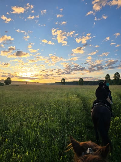 In a rural landscape, likely near the village of Nikitskoye, Russia, a group of people on horseback ride through a lush green field under a vibrant sky. The sun is setting or rising, casting a warm, golden glow across the horizon, illuminating scattered clouds in shades of orange and yellow against a blue sky. The field is characterized by tall grass and small yellow flowers. In the foreground, the back of a horse and its rider are visible, with the head of another horse in the very bottom of the frame. Further ahead, other riders and horses are seen as silhouettes against the brightly lit landscape. Trees and a treeline are visible in the distance, forming the boundary of the expansive field. The scene depicts a serene outdoor activity in a natural setting at dawn or dusk.