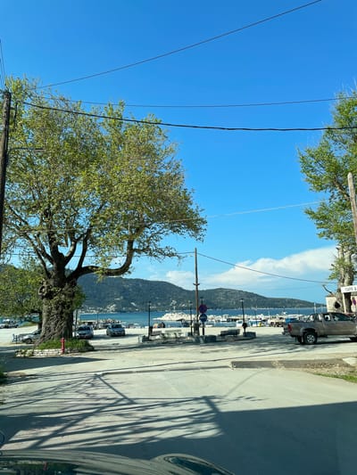 This image depicts a sunny coastal scene in Skala Potamias, Greece, showcasing a street running parallel to a harbor or bay. The perspective is slightly elevated, looking towards the water and the mountains beyond.

In the foreground, a large tree with vibrant green foliage stands prominently on the left, casting long, distinct shadows across the asphalt road, indicating bright sunshine. Several utility lines stretch across the clear blue sky, which features a few scattered white clouds. The right edge of the frame reveals a portion of a vehicle, suggesting the photo was taken from inside a car.

The midground features a paved road and an adjacent sidewalk. Parked vehicles, including a light brown pickup truck and other dark cars, line the street. A red fire hydrant is visible near the base of the large tree. Further along, there are streetlights, benches, and traffic signs, specifically a circular red "no entry" sign and a red hexagonal "stop" sign. Beyond the road, numerous small to medium-sized boats are moored or anchored in the calm, light blue waters of the bay, with various buildings and structures lining the waterfront.

The background is dominated by a large, green-covered mountain or hillside that rises directly from the sea on the opposite side of the bay. The weather is clear and bright, consistent with a pleasant day, likely mid-morning to afternoon given the angle of the shadows. A partially obscured white sign with black Greek characters, possibly starting with "ΣΕΛ", is visible on a wooden pole near the top right corner. The overall scene conveys a tranquil and picturesque Mediterranean harbor village.