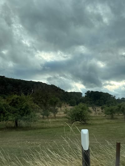 The image shows a rural landscape under a cloudy sky. The foreground features dry grass and a wire fence with a white and black post. In the middle ground, there are several trees scattered across a grassy field. The background consists of a dense forest covering a hillside. The sky is filled with dark, dramatic clouds, suggesting an overcast or impending storm. The location is identified as Bech, Luxembourg, and the scene depicts a natural, undeveloped area. There are no people or animals visible in the image.