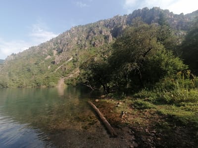 The image shows a serene natural landscape, likely in Yaryktash, Kyrgyzstan, featuring a calm lake in the foreground with clear, shallow water revealing a rocky bottom. A large, fallen tree trunk lies partially submerged at the edge of the water. The lake is bordered by a rocky, vegetated shore with sparse grass and small stones. In the mid-ground, several trees with dense green foliage are visible, casting shadows. The background is dominated by a steep, rugged mountain slope covered in green vegetation and rocky outcrops. The sky above is a clear blue with a few scattered white clouds. The overall impression is one of a peaceful, unspoiled natural environment.